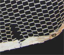 a-old-mesh-.jpg